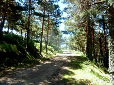 Chorro,Chorrera San Mamés_Valle del Lozoya;fuentona valle de belagua garganta de las nogaledas naci